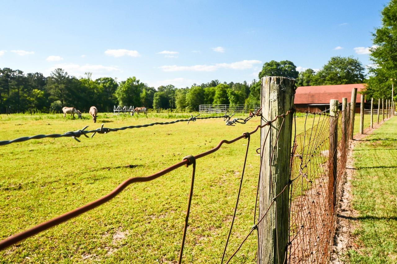 Dublin Farm Panzió Kültér fotó