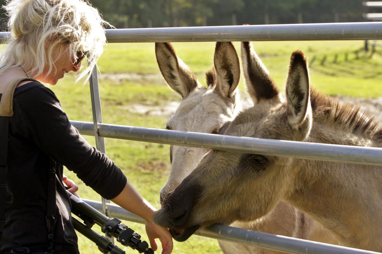 Dublin Farm Panzió Kültér fotó